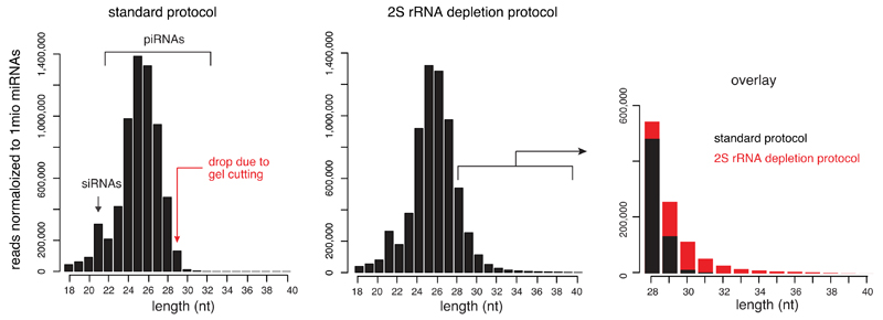 Figure ED4