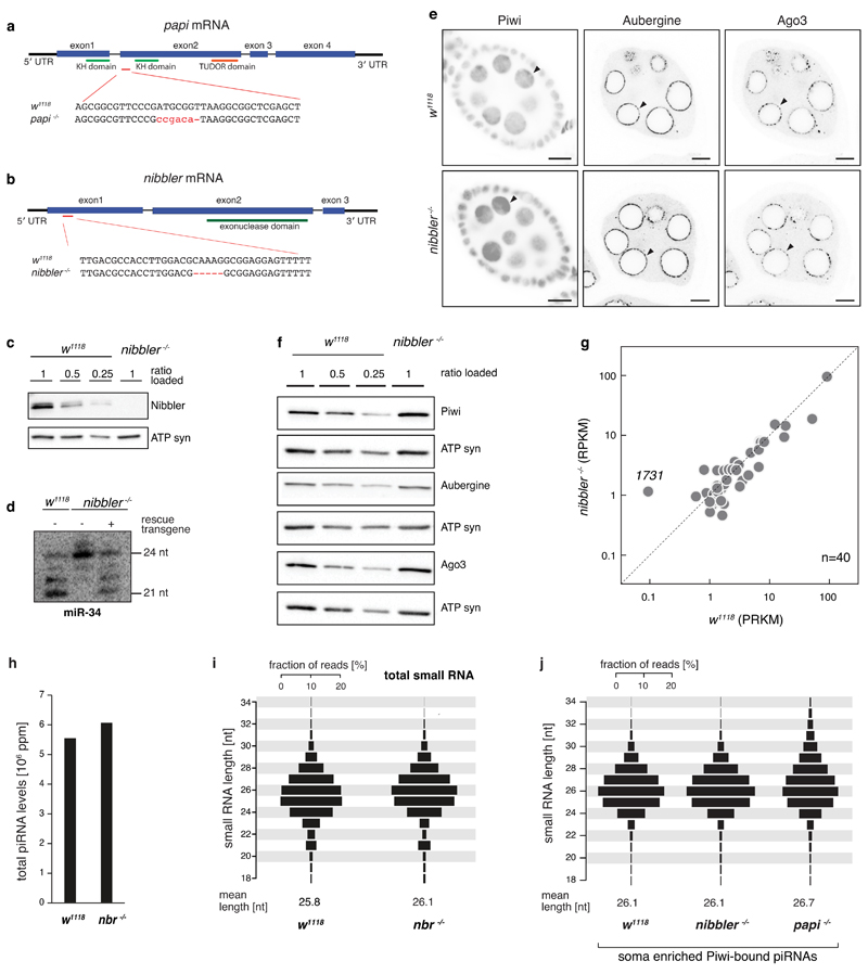 Figure ED3