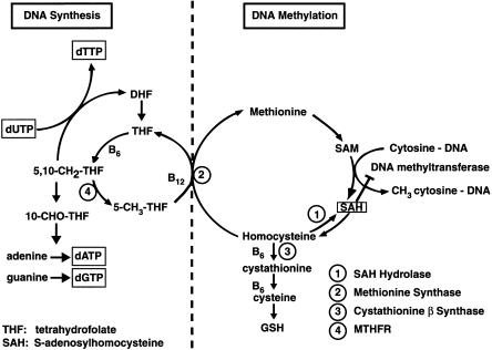 Figure  1