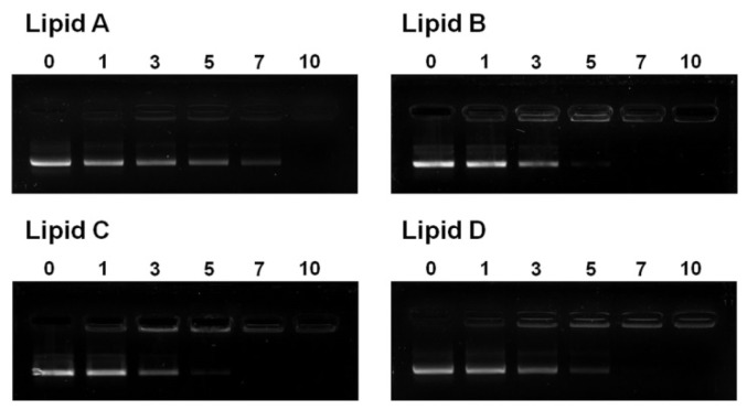 Figure 7.