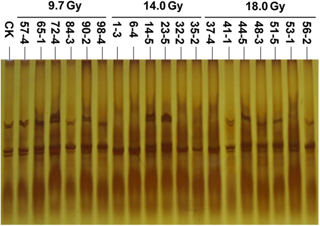 Fig. 7.