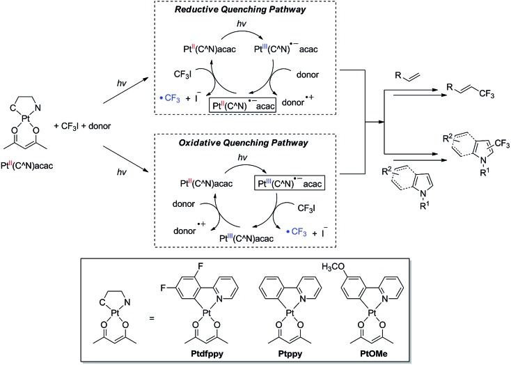 Scheme 1