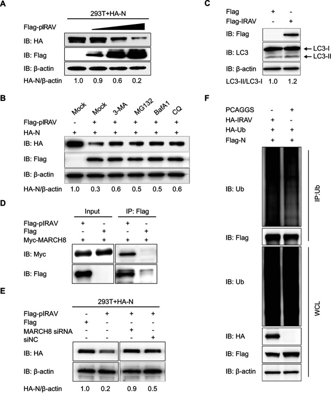 FIG 6