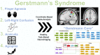Graphical abstract
