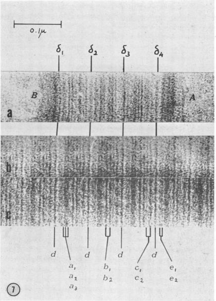 graphic file with name pnas00201-0045-a.jpg