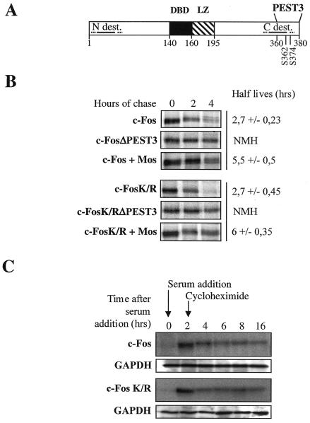 FIG. 5.