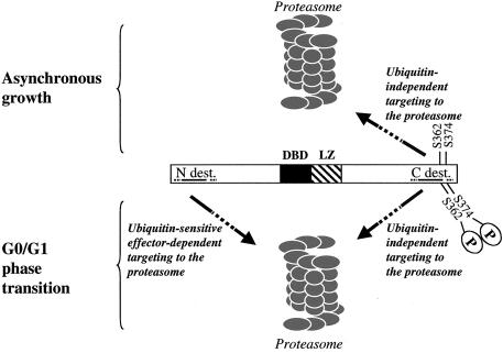 FIG. 7.