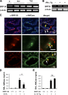 Figure 10.