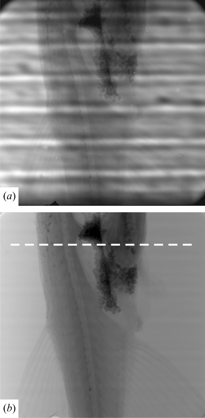 Figure 13