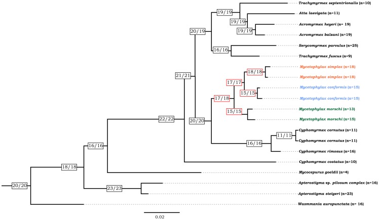 Figure 4