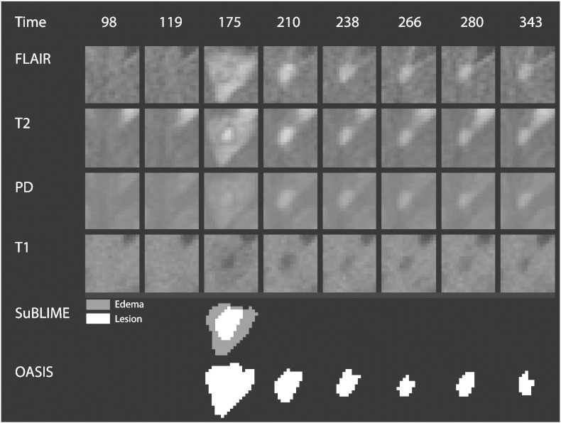 Fig. 8