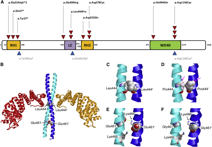 Figure 2