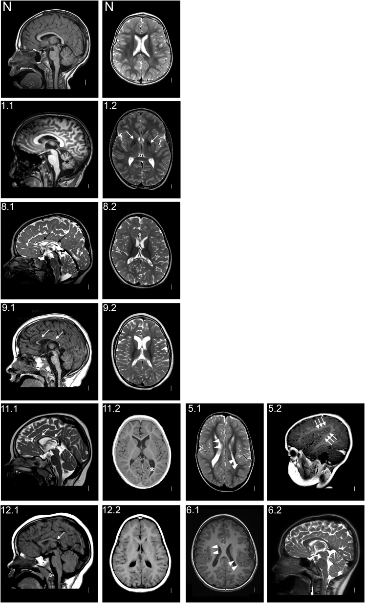 Figure 1