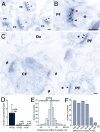 Fig. 9.