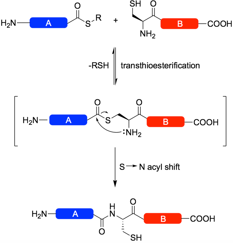 Figure 1: