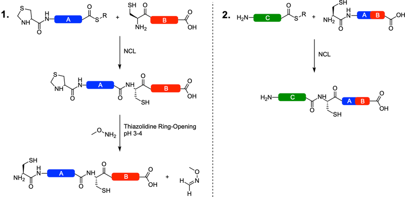 Figure 2: