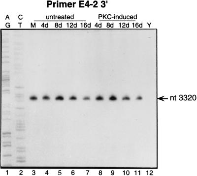 FIG. 5