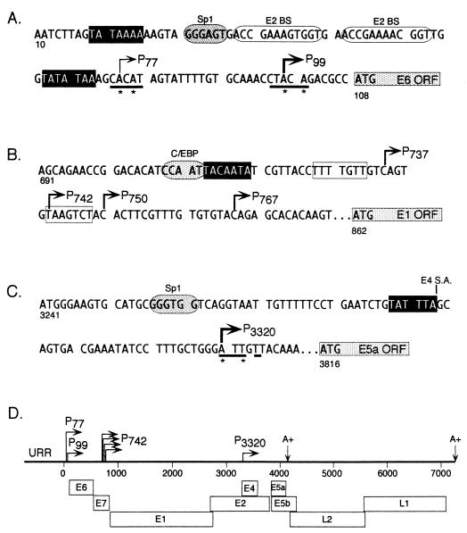 FIG. 6