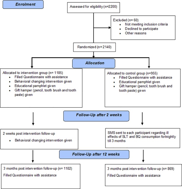 Fig 1