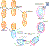 Fig. 2 |