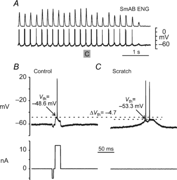 Figure 5