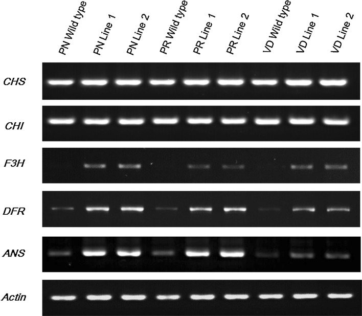 Fig. 3