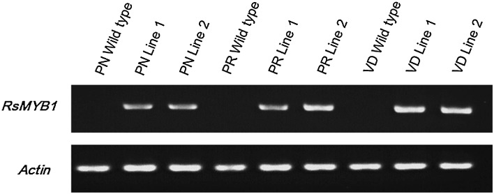 Fig. 2