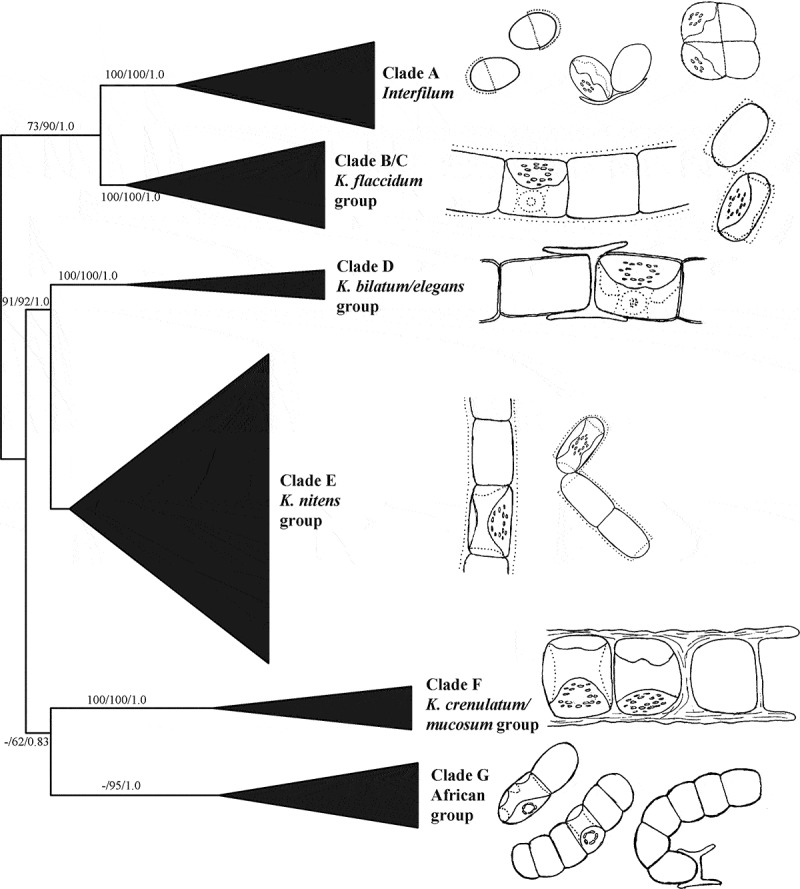 Fig. 69. 