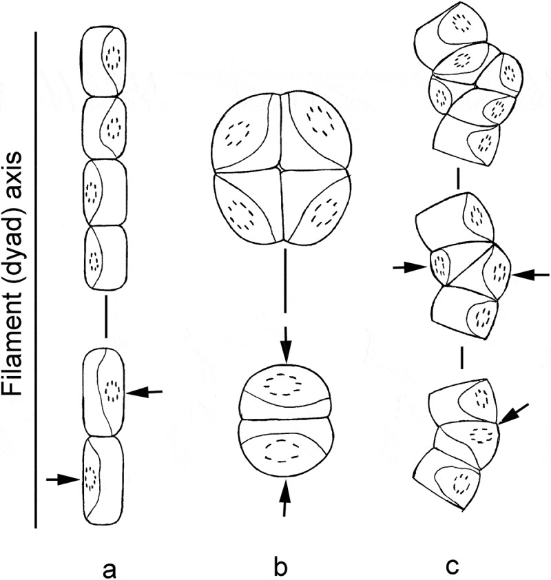 Fig. 67. 