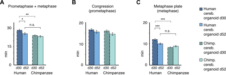 Figure 5—figure supplement 2.