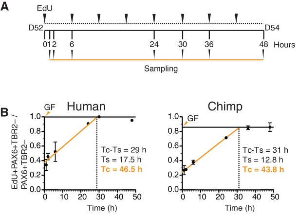 Figure 5—figure supplement 4.