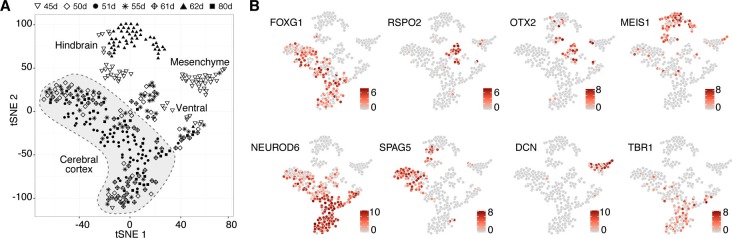 Figure 1—figure supplement 2.