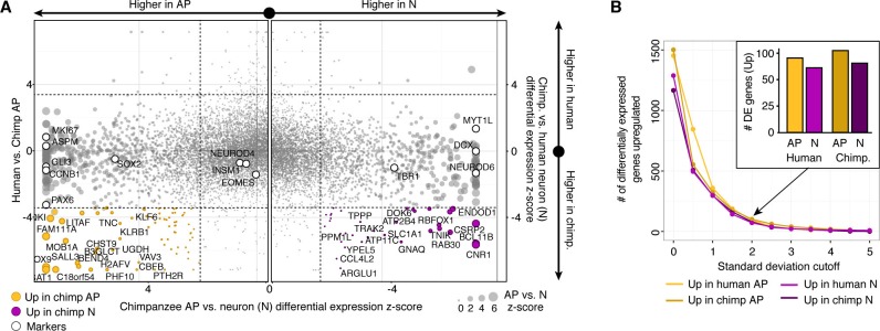 Figure 3—figure supplement 1.