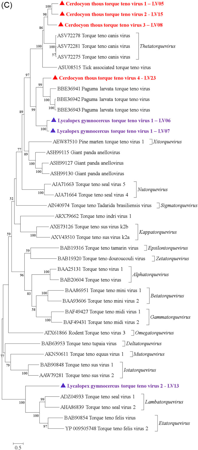 Fig. 4