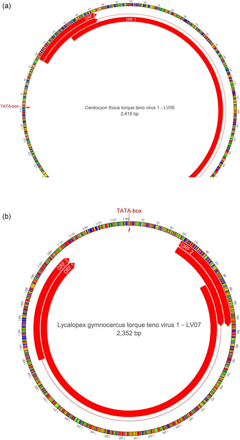 Fig. 4