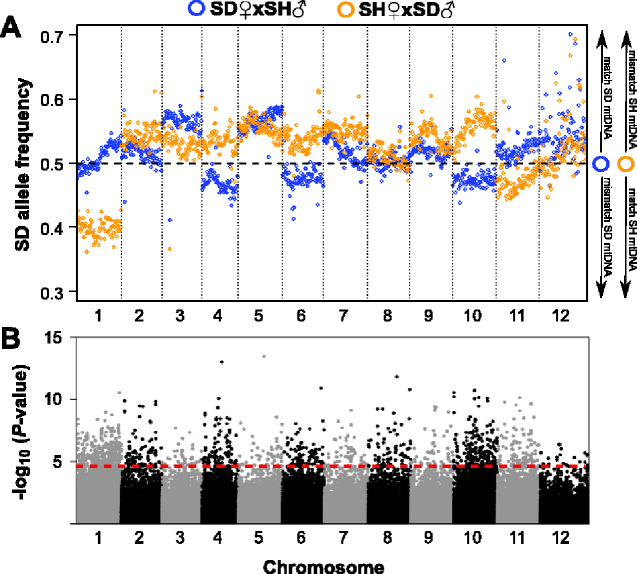 Fig. 4