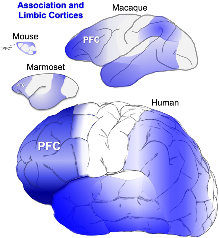 Figure 1-