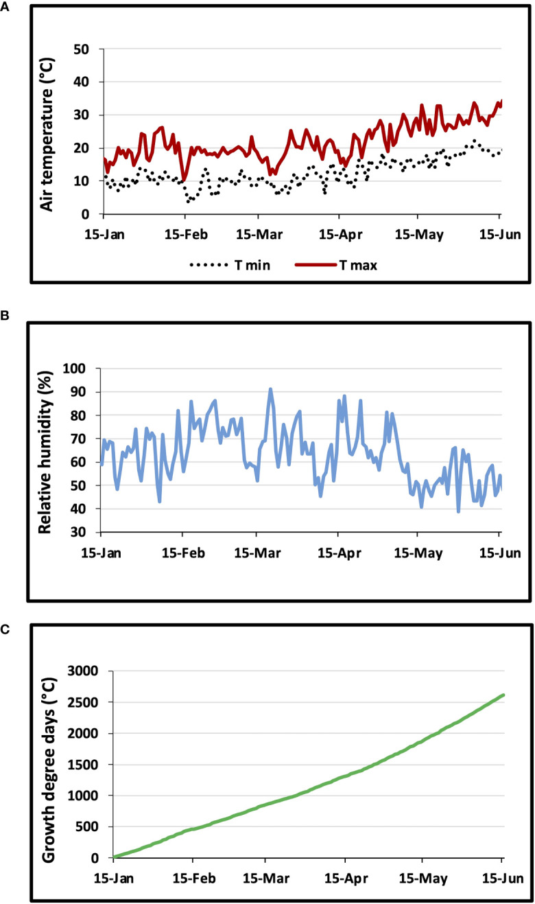 Figure 2