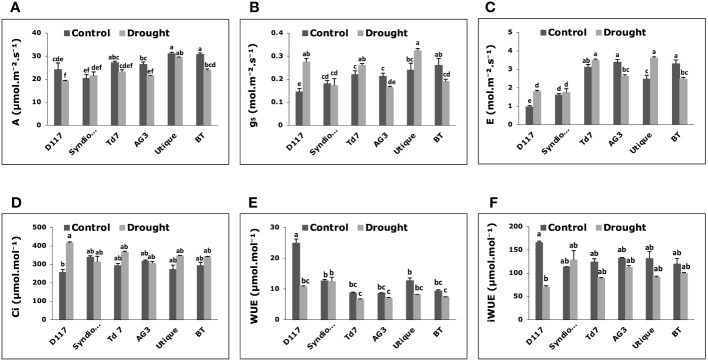 Figure 3