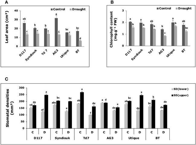 Figure 4