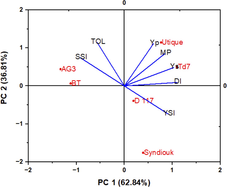 Figure 6