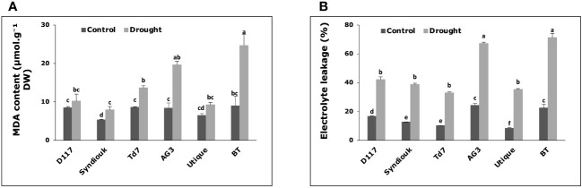 Figure 5