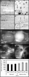 Fig. 8