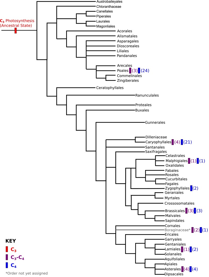 Figure 1—figure supplement 2.