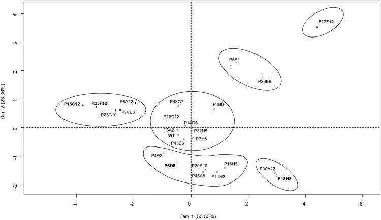 Figure 4.