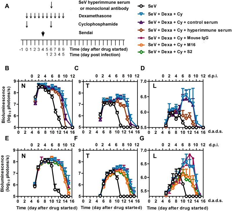 Fig 10