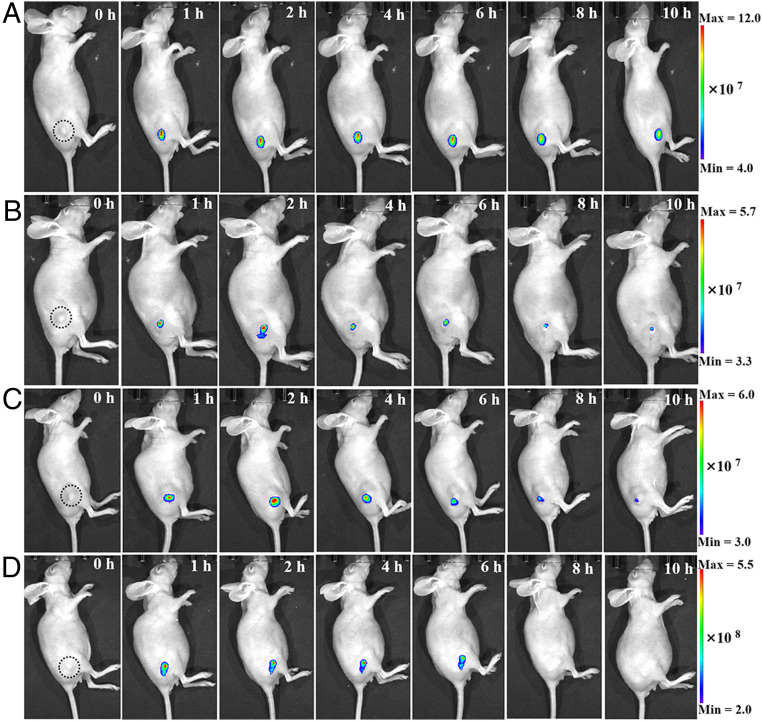 Fig. 6.