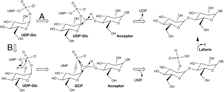 Fig. 4.