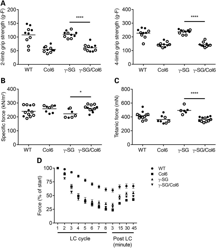 Figure 4.