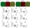Figure 3—figure supplement 1.